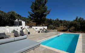 Domus Villa